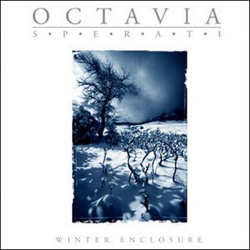 Octavia Sperati "Winter Enclosure" 2005 